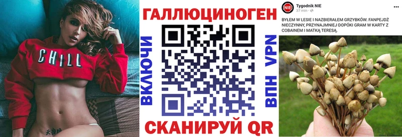 Псилоцибиновые грибы Psilocybe  Южа 